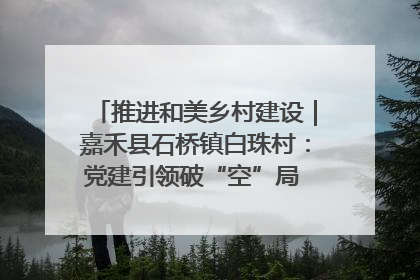 推进和美乡村建设｜嘉禾县石桥镇白珠村：党建引领破“空”局 乡贤聚力绘就新图景