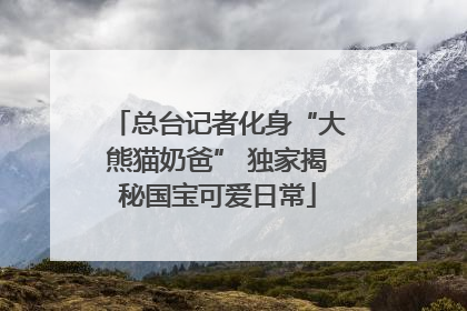 总台记者化身“大熊猫奶爸” 独家揭秘国宝可爱日常