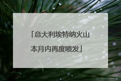 意大利埃特纳火山本月内再度喷发