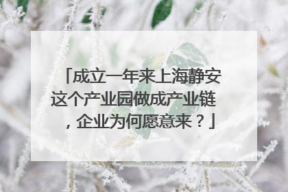 成立一年来上海静安这个产业园做成产业链，企业为何愿意来？