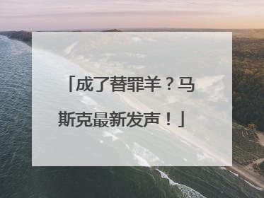 成了替罪羊？马斯克最新发声！