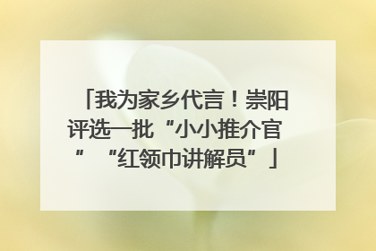 我为家乡代言！崇阳评选一批“小小推介官”“红领巾讲解员”