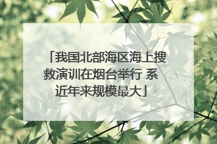 我国北部海区海上搜救演训在烟台举行 系近年来规模最大