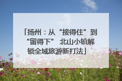 扬州：从“接得住”到“留得下” 北山小镇解锁全域旅游新打法
