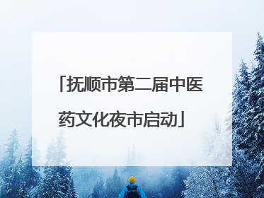 抚顺市第二届中医药文化夜市启动