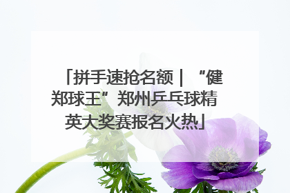 拼手速抢名额｜“健郑球王”郑州乒乓球精英大奖赛报名火热