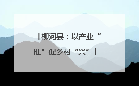 柳河县：以产业“旺”促乡村“兴”