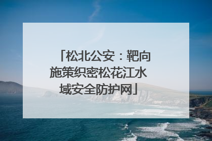 松北公安：靶向施策织密松花江水域安全防护网