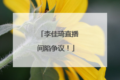 李佳琦直播间陷争议！