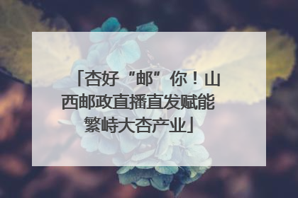 杏好“邮”你！山西邮政直播直发赋能繁峙大杏产业