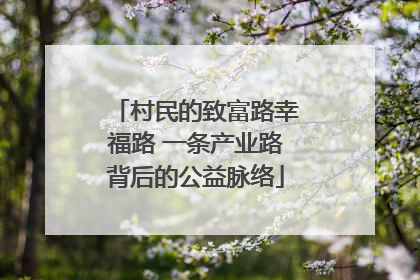 村民的致富路幸福路 一条产业路背后的公益脉络