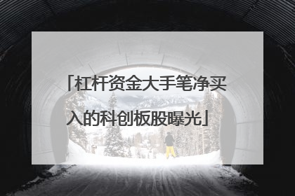 杠杆资金大手笔净买入的科创板股曝光