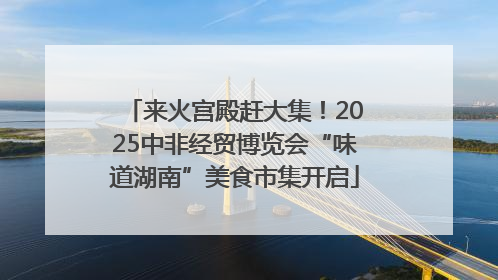 来火宫殿赶大集！2025中非经贸博览会“味道湖南”美食市集开启