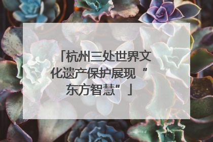 杭州三处世界文化遗产保护展现“东方智慧”