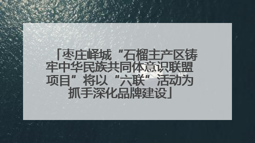 枣庄峄城“石榴主产区铸牢中华民族共同体意识联盟项目”将以“六联”活动为抓手深化品牌建设