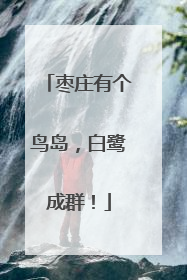 枣庄有个鸟岛，白鹭成群！