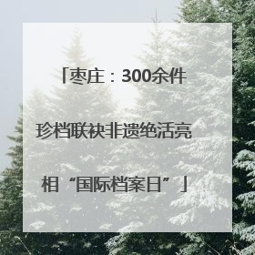 枣庄：300余件珍档联袂非遗绝活亮相“国际档案日”