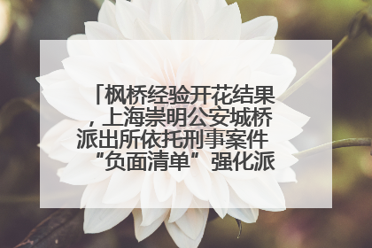 枫桥经验开花结果，上海崇明公安城桥派出所依托刑事案件“负面清单”强化派出所“主防”
