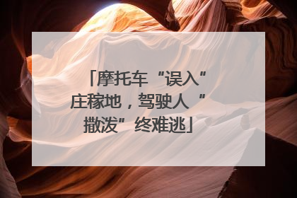 摩托车“误入”庄稼地，驾驶人“撒泼”终难逃