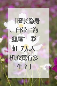 擅长隐身、自带“海狸尾” 彩虹-7无人机究竟有多牛？