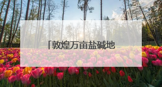 敦煌万亩盐碱地变“希望田”