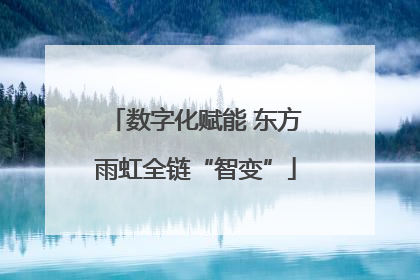 数字化赋能 东方雨虹全链“智变”
