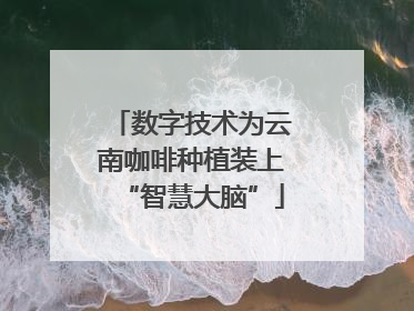 数字技术为云南咖啡种植装上“智慧大脑”