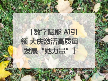 数字赋能 AI引领 大庆激活高质量发展“她力量”