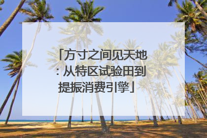 方寸之间见天地：从特区试验田到提振消费引擎