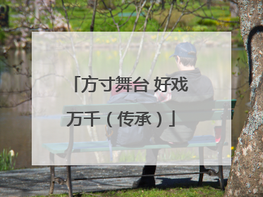方寸舞台 好戏万千（传承）