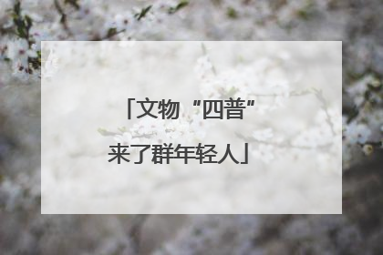 文物“四普”来了群年轻人