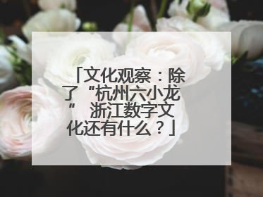 文化观察：除了“杭州六小龙” 浙江数字文化还有什么？