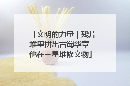 文明的力量｜残片堆里拼出古蜀华章 他在三星堆修文物