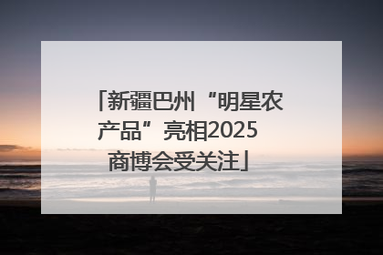 新疆巴州“明星农产品”亮相2025商博会受关注