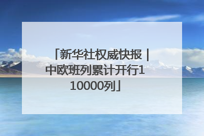 新华社权威快报｜中欧班列累计开行110000列