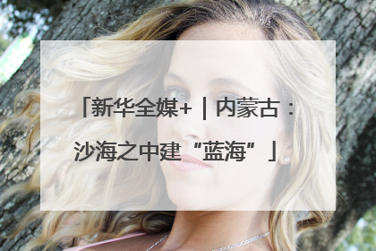 新华全媒+｜内蒙古：沙海之中建“蓝海”