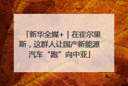新华全媒+｜在霍尔果斯，这群人让国产新能源汽车“跑”向中亚