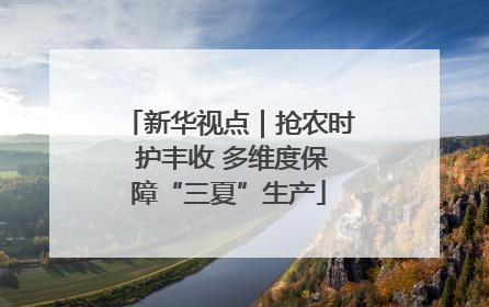新华视点｜抢农时 护丰收 多维度保障“三夏”生产