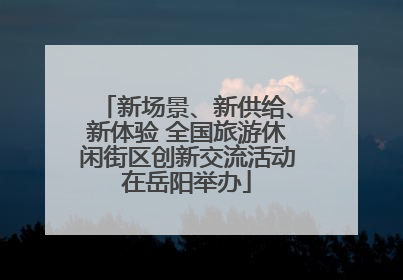 新场景、新供给、新体验 全国旅游休闲街区创新交流活动在岳阳举办