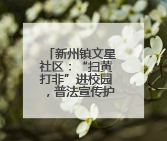 新州镇文星社区：“扫黄打非”进校园，普法宣传护青春