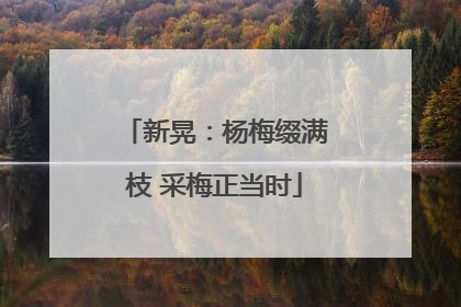 新晃：杨梅缀满枝 采梅正当时