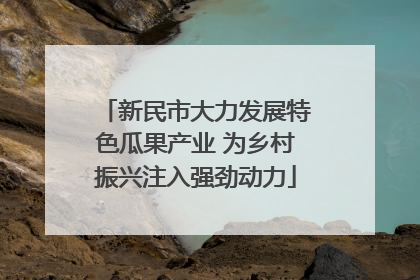 新民市大力发展特色瓜果产业 为乡村振兴注入强劲动力