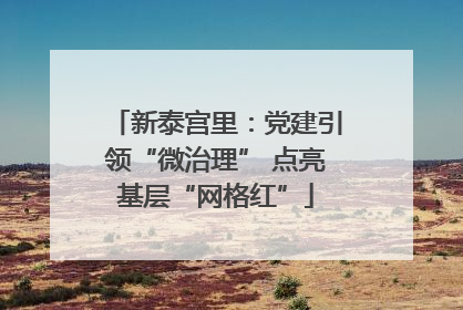 新泰宫里：党建引领“微治理” 点亮基层“网格红”