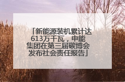 新能源装机累计达613万千瓦，申能集团在第三届碳博会发布社会责任报告