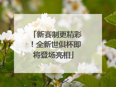 新赛制更精彩！全新世俱杯即将登场亮相