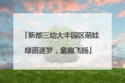 新都三幼大丰园区萌娃绿茵逐梦，童趣飞扬