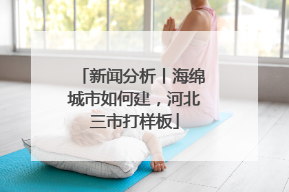 新闻分析丨海绵城市如何建，河北三市打样板
