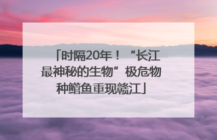 时隔20年！“长江最神秘的生物”极危物种鳤鱼重现赣江