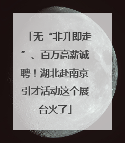 无“非升即走”、百万高薪诚聘！湖北赴南京引才活动这个展台火了