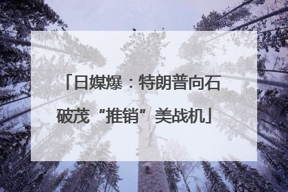 日媒爆：特朗普向石破茂“推销”美战机